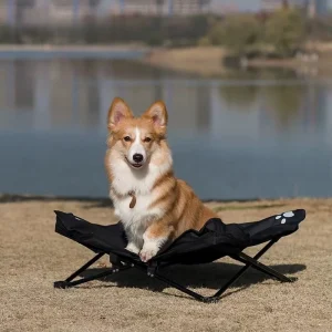 Foldable All-Season Pet Bed – Cat and Dog Travel Nest for Small Pets