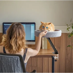 Adjustable Desktop Cat Bed – Round Soft Table Nest for Indoor Kittens