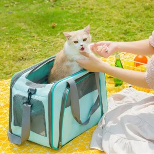 Portable Handheld Pet Bag for Cats and Dogs – Breathable Canvas Space Cabin Carrier